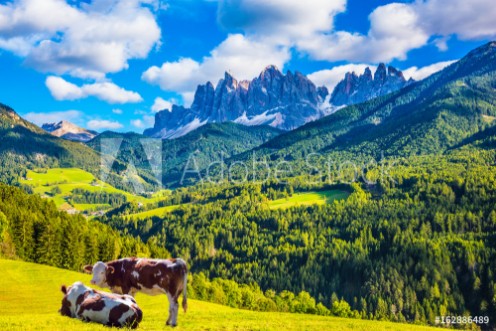 Picture of The dentate wall of dolomite rocks